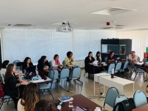 Consulta-Brasil-Ley-Modelo